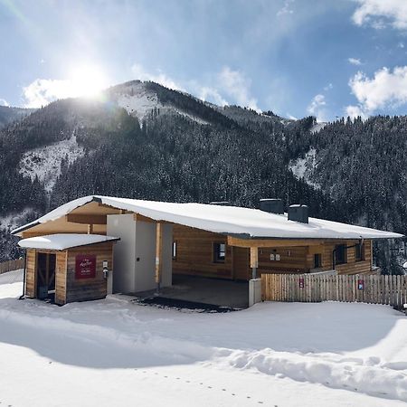 Alpenparks Chalet & Apartment Steve Lodge Viehhofen Exterior photo